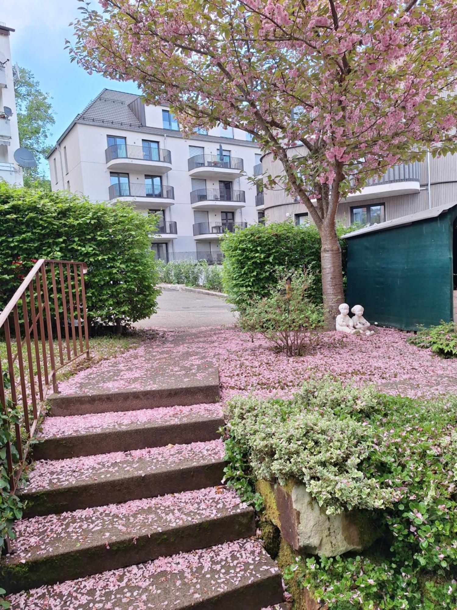 Haus Mila Apartment Freudenstadt Bagian luar foto